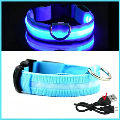 Adjustable USB Rechargeable LED Pet Safety Collar