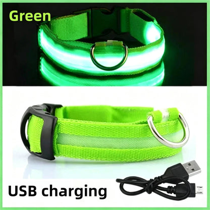 Adjustable USB Rechargeable LED Pet Safety Collar