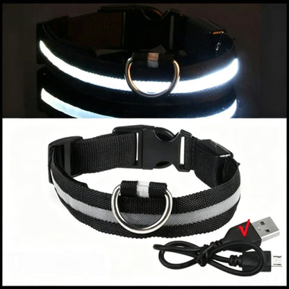 Adjustable USB Rechargeable LED Pet Safety Collar