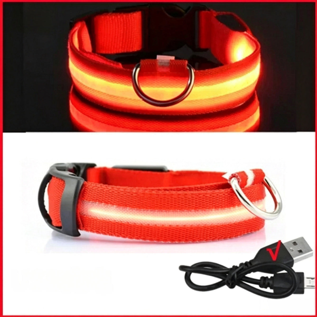 Adjustable USB Rechargeable LED Pet Safety Collar